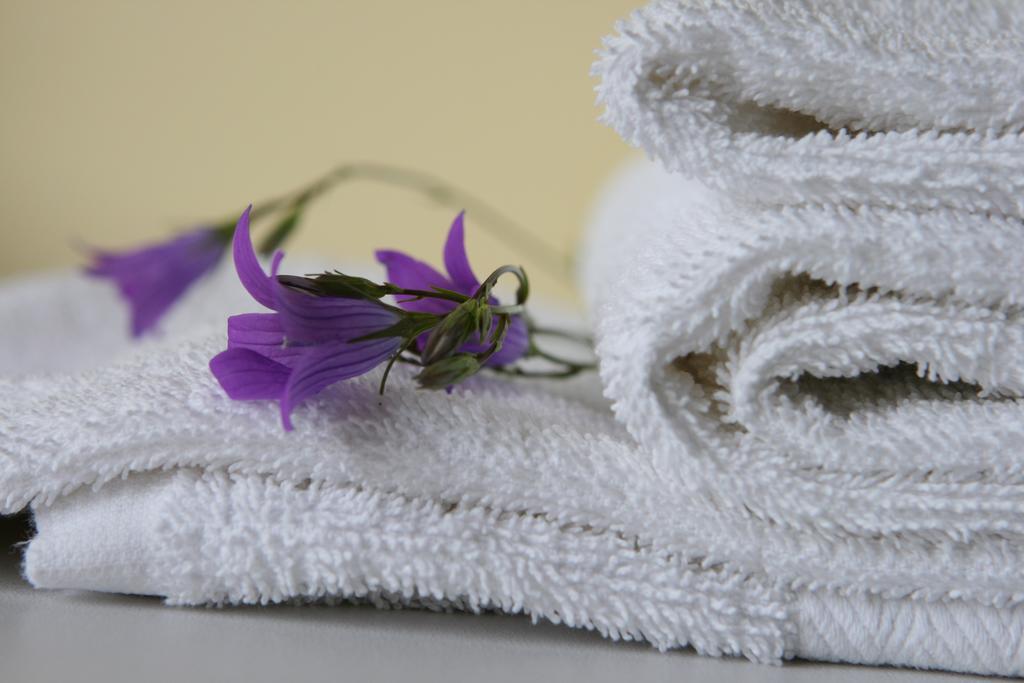 Hotel Audenis Birstonas Ngoại thất bức ảnh