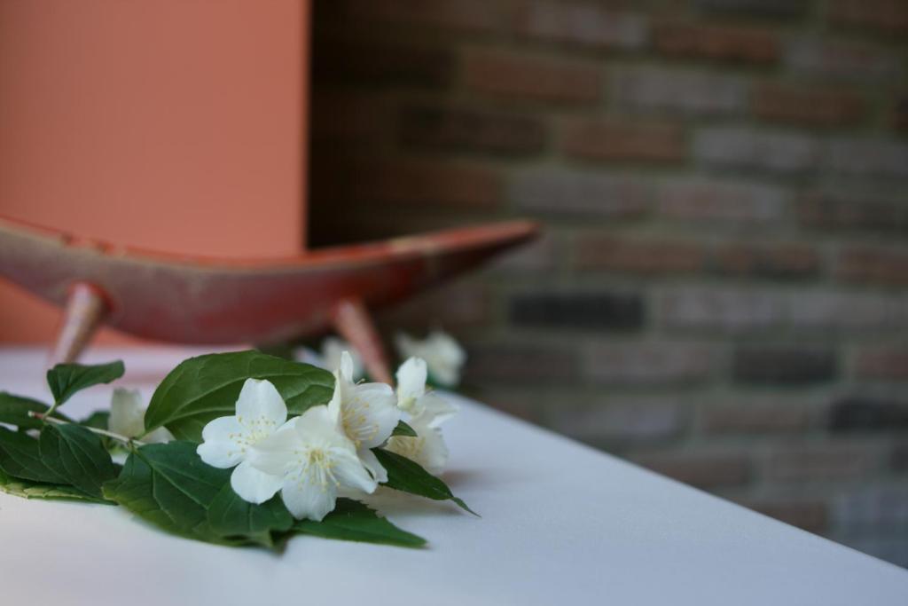 Hotel Audenis Birstonas Ngoại thất bức ảnh