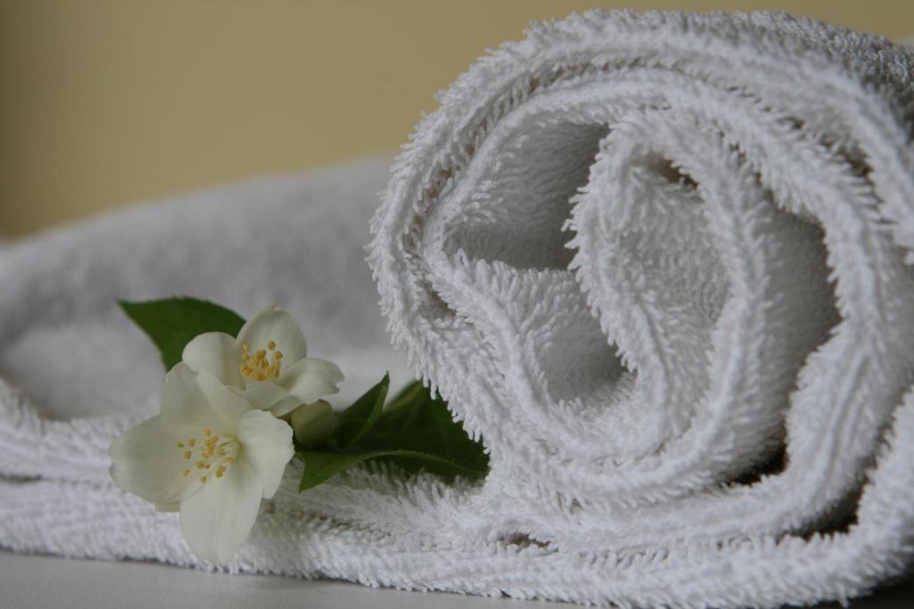 Hotel Audenis Birstonas Ngoại thất bức ảnh