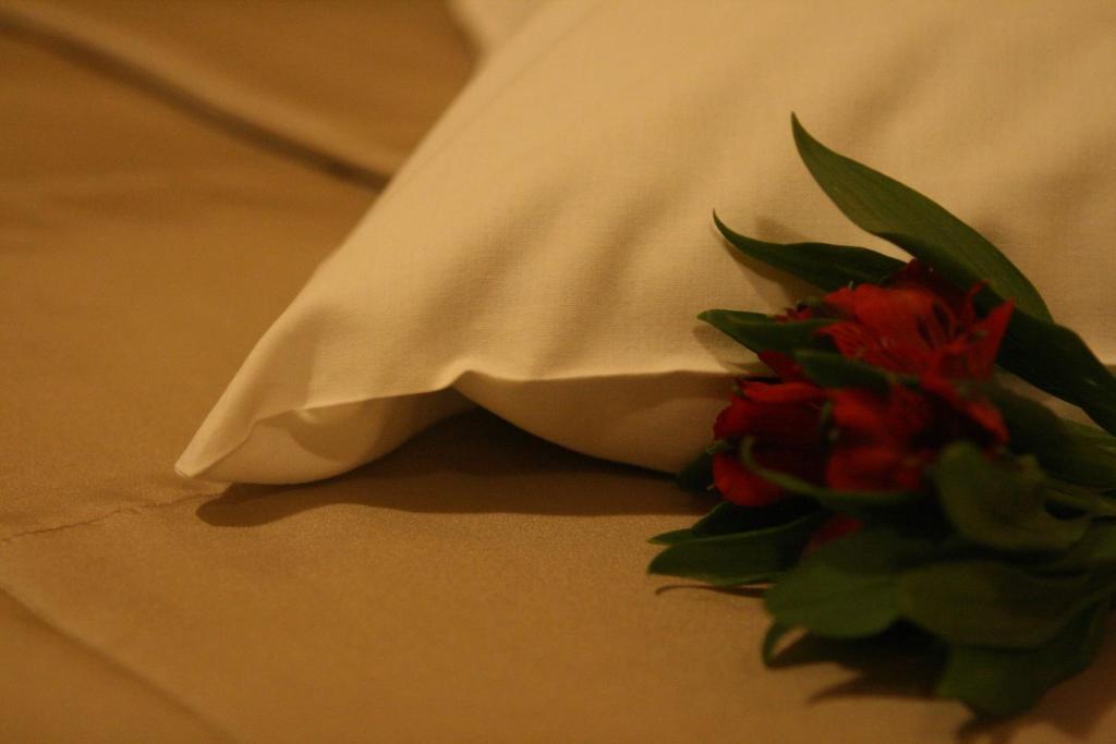 Hotel Audenis Birstonas Ngoại thất bức ảnh